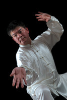 Tai Chi Martial Arts