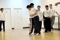 Feb 2008 Master Luo Workshop